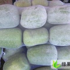山东禹城白皮冬瓜