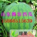 山东寒亭京欣：河滩镇张文辉