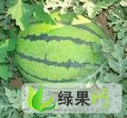 陕西大荔京欣：黄河滩唐聪莉