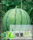 京欣价格