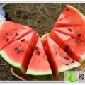 山东禹城京欣：高新技许超