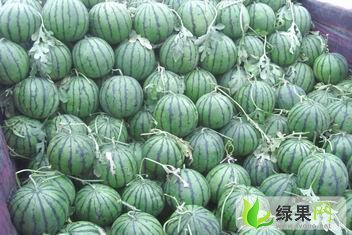 京欣价格