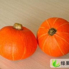 河北保定清苑万亩南瓜收购指南——新农人合作社