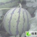 注意:禹城陆地京欣大量上市
