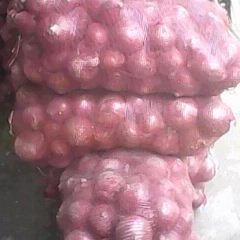 开封市.开封县洋葱.土豆