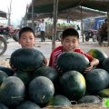 河南金明黑金刚：杏花营赵丽丽
