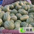 山东惠民西农八号：胡集镇杨先生