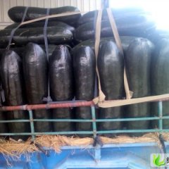 临沂市向城刘鹏： 铁将军