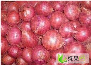 山东惠民红皮洋葱：姜楼镇李军