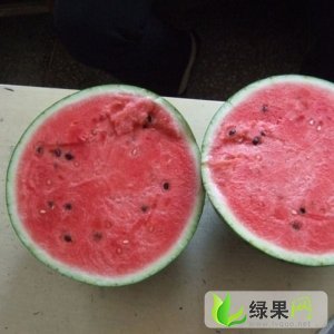 京欣价格