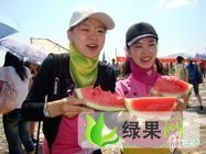 硒砂瓜价格