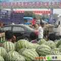 开封西瓜大市场