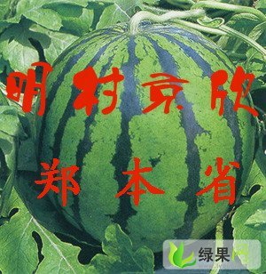 京欣价格