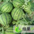 山东坊子京欣.冠龙等：黄旗堡周先生