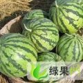 湖北钟祥龚保忠
