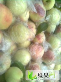 大量出售红不软毛桃