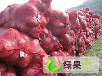 济宁市金乡 徐超 专业带加工 红皮洋葱