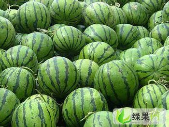 京欣价格