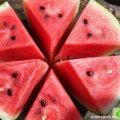 河南金明花皮无籽：杏花营郑泽华