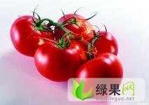 贵州修文红将军：小箐乡朱先生