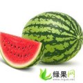 河南太康花皮长瓜有籽：芝麻洼程琳