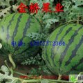 陕西大荔京欣：范家镇贺涵