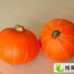 河北清苑金红冠南瓜：东吕乡张新军