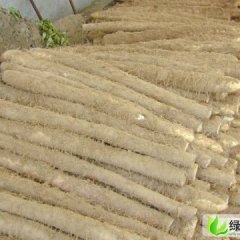 山东曹县铁棍山药：魏湾镇李鹏