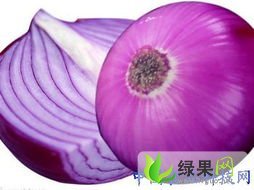 山东惠民红紫皮洋葱：姜楼镇苏女士