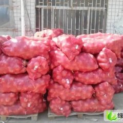 山东平度紫皮洋葱：明村温东军