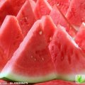 河南开封县8424西瓜：开封县王利平