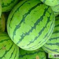 河南开封县京欣：郭庄村付热闹