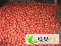 收购： 西红柿 崔亚飞