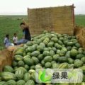 新疆昌吉市安农二号：楡泉路张亚飞