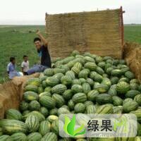 安农二号价格