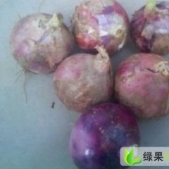 山东坊子圆葱（卡木一）洋葱：峡山区曹先生