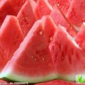 河南开封县花皮无籽：郭庄村刘亚辉