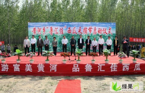 抗丰三价格