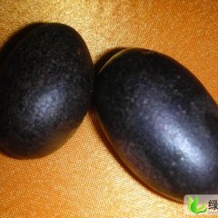 甘肃城关黑金刚土豆：张掖路刘女士