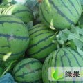 湖北钟祥冠龙：官庄湖赵顺财