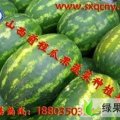 山西忻大量供应山西西瓜（7月15日大量上市热销）