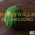 河南金明京欣：杏花营潘先生