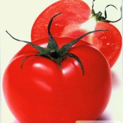 山西祁县以色列西红柿还有半个月大量上市