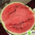 山东高青京欣：花沟镇刘亮