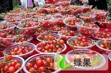 山东文登红灯：葛家镇吕鹏