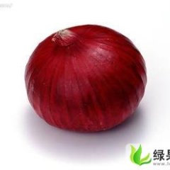 山东惠民红皮洋葱：淄角镇孔祥金