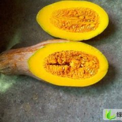 咸宁市潘家湾邓先生：金韩密本南瓜