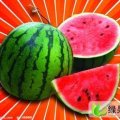 湖北钟祥冠龙：伍庙社蒋宗平