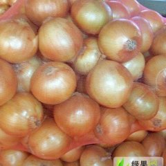 山东莱州黄皮洋葱：平里店邹沛君