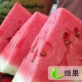 山东惠民西农 8号西瓜：缁角镇张外